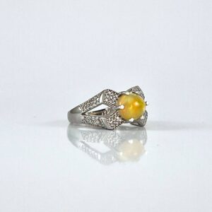 photo 1 2025 02 02 15 07 48 - 2