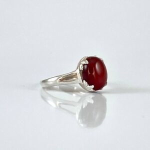 photo 2 2025 02 01 19 02 10 - 7