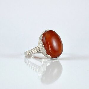 photo 4 2025 02 01 14 52 36 - 1