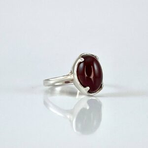 photo 5 2025 02 01 15 12 50 - 2