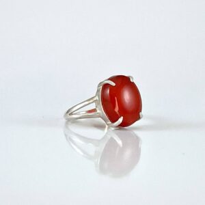 photo 5 2025 02 01 19 21 25 - 3